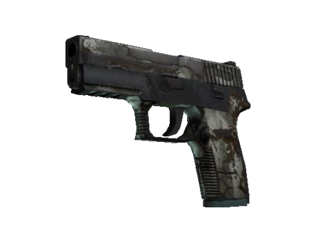 P250 | Bone Mask (Battle-Scarred)