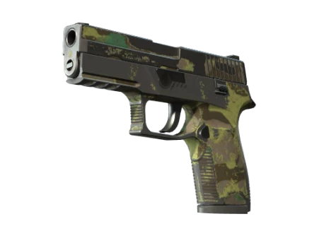 P250 | Boreal Forest (Battle-Scarred)