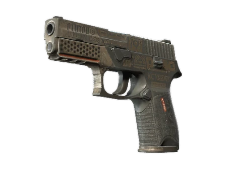 P250 | Bullfrog (Battle-Scarred)