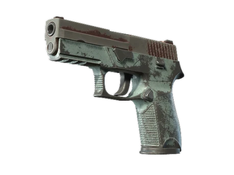 P250 | Copper Oxide (Battle-Scarred)