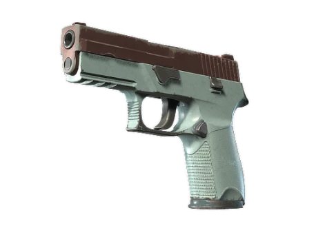 P250 | Copper Oxide (Field-Tested)