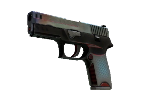 P250 | Cyber Shell (Well-Worn)