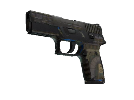 P250 | Exchanger (Battle-Scarred)