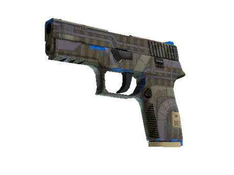 P250 | Exchanger (Minimal Wear)