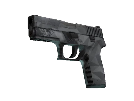 P250 | Facets (Field-Tested)