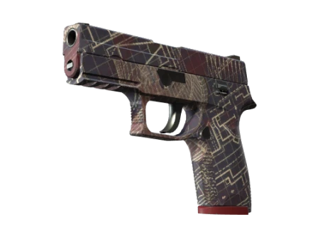 P250 | Facility Draft (Minimal Wear)