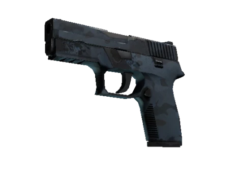 P250 | Forest Night (Well-Worn)