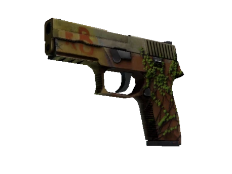 P250 | Inferno (Battle-Scarred)