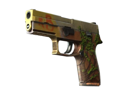 P250 | Inferno (Field-Tested)