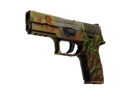 P250 | Inferno (Well-Worn)