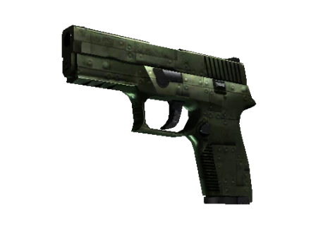 P250 | Iron Clad (Minimal Wear)