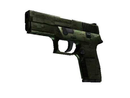 P250 | Iron Clad (Well-Worn)