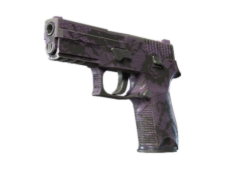P250 | Plum Netting (Well-Worn)