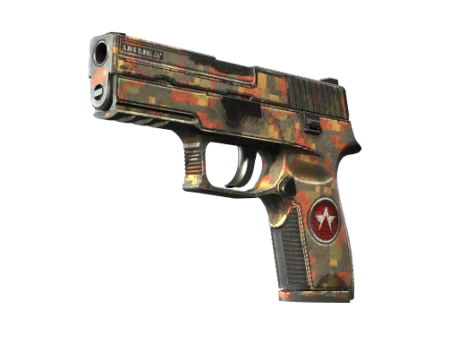 P250 | Red Rock (Battle-Scarred)