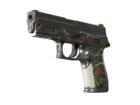 P250 | Мелкая дичь (Немного поношенное)