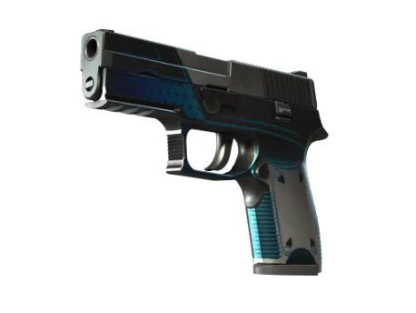 P250 | Valence (Well-Worn)