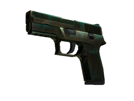 P250 | Verdigris (Battle-Scarred)