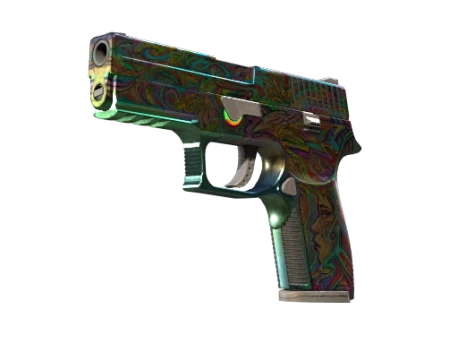 P250 | Visions (Well-Worn)