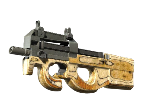 P90 | Shapewood (Well-Worn)