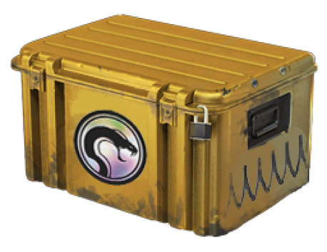 Recoil Case