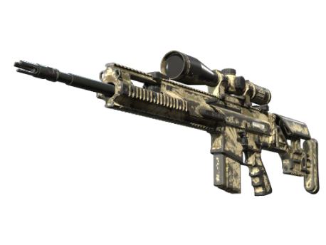 SCAR-20 | Palm (Battle-Scarred)