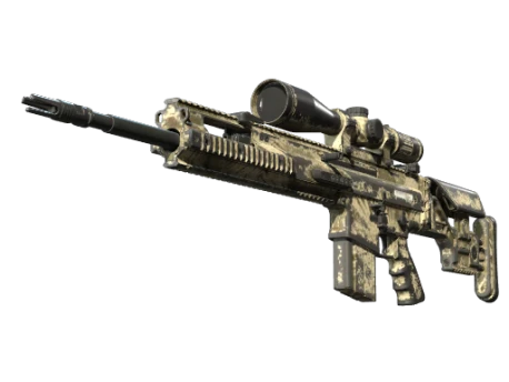 SCAR-20 | Palm (Battle-Scarred)