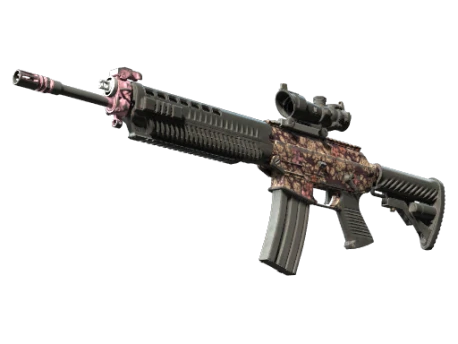 SG 553 | Desert Blossom (Battle-Scarred)