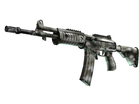 Souvenir Galil AR | Sage Spray (Well-Worn)