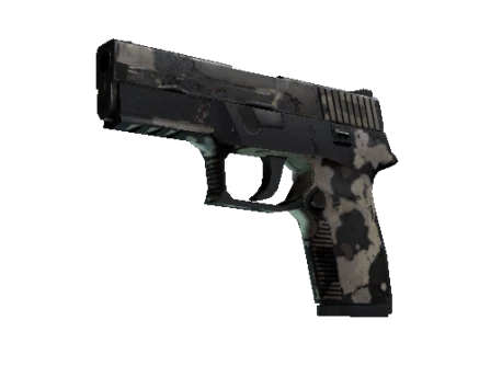 Souvenir P250 | Black & Tan (Battle-Scarred)