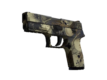 Souvenir P250 | Contamination (Well-Worn)