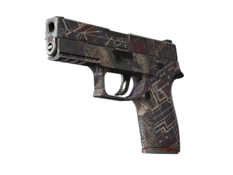 Souvenir P250 | Facility Draft (Well-Worn)