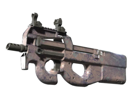 Souvenir P90 | Wash me (Well-Worn)