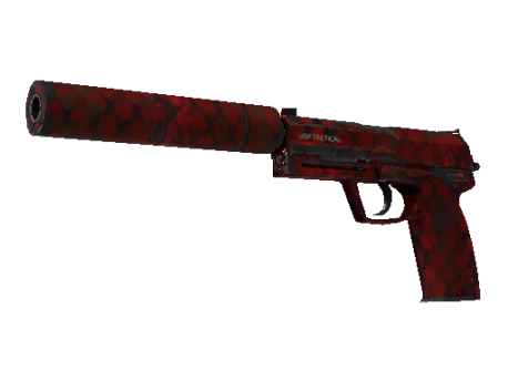 Souvenir USP-S | Check Engine (Well-Worn)