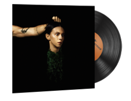 StatTrak™ Music Kit | PVRIS, Evergreen