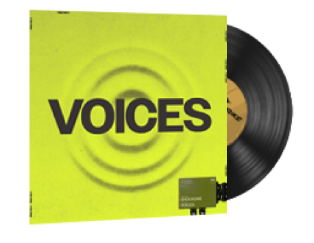 StatTrak™ Music Kit | ShockOne, Voices