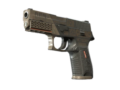 StatTrak™ P250 | Bullfrog (Well-Worn)