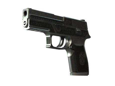 StatTrak™ P250 | Cartel (Battle-Scarred)
