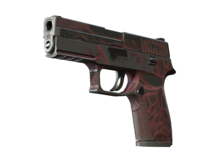 StatTrak™ P250 | Contaminant (Battle-Scarred)