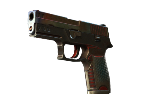 StatTrak™ P250 | Cyber Shell (Battle-Scarred)