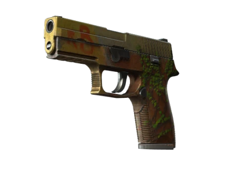 StatTrak™ P250 | Inferno (Battle-Scarred)