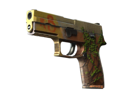 StatTrak™ P250 | Inferno (Field-Tested)