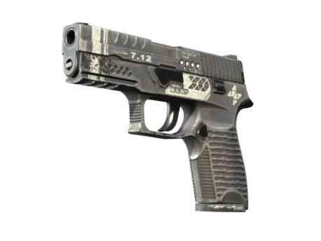 StatTrak™ P250 | Re.built (Well-Worn)