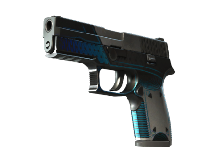 StatTrak™ P250 | Valence (Well-Worn)