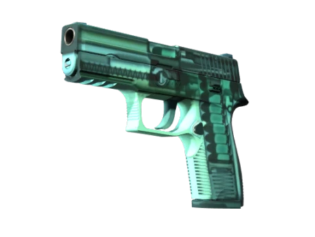 StatTrak™ P250 | Рентген (Прямо с завода)