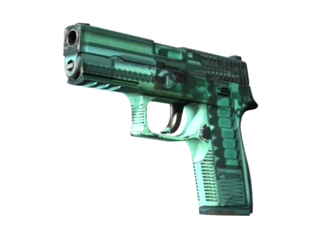 StatTrak™ P250 | X-Ray (Field-Tested)