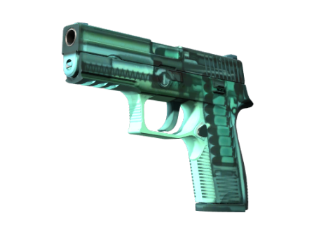 StatTrak™ P250 | X-Ray (Minimal Wear)