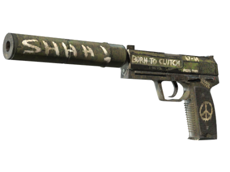 StatTrak™ USP-S | Flashback (Well-Worn)