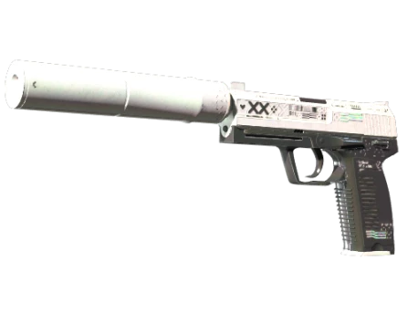 StatTrak™ USP-S | Printstream (Field-Tested)