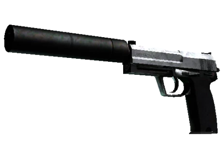 StatTrak™ USP-S | Stainless (Battle-Scarred)