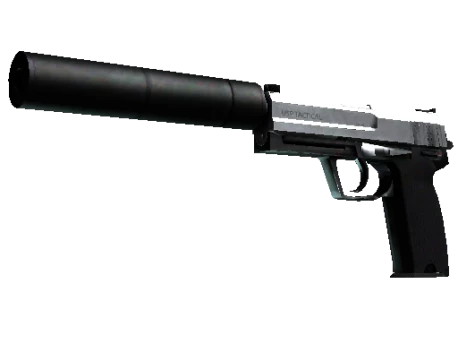 StatTrak™ USP-S | Stainless (Field-Tested)